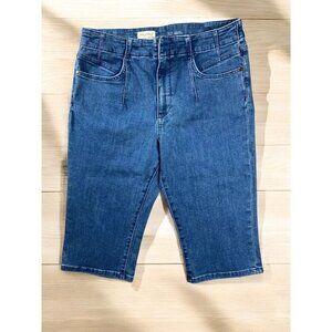 Pilcro Denim Bermuda Shorts - Size 32
